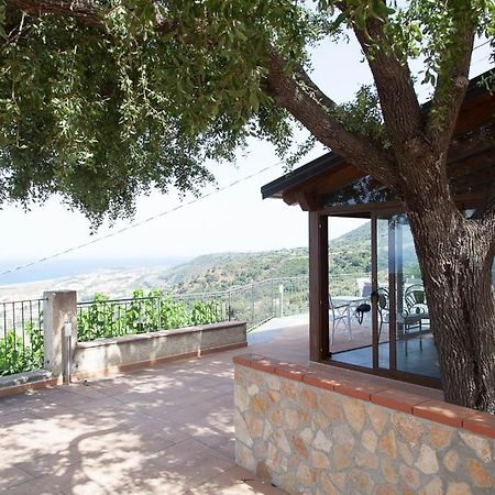 B&B Le Rose Del Tirreno Falerna Dış mekan fotoğraf