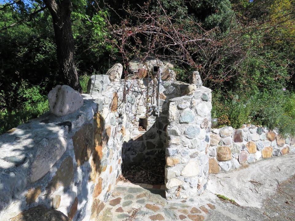 B&B Le Rose Del Tirreno Falerna Dış mekan fotoğraf
